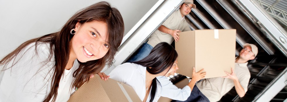 Professional Removalists Brigalow